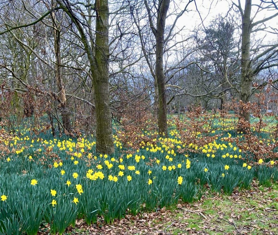 1a7452ae-175b-47d3-8793-eeadd807b396