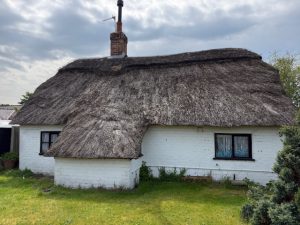 IMG_5563