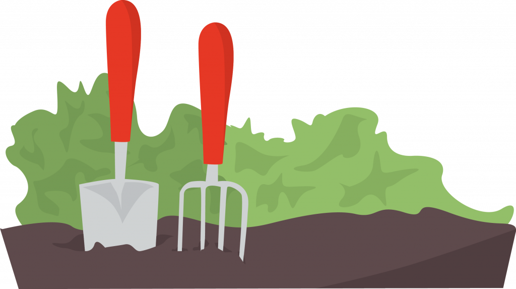 Southport u3a Hesketh Park Team In The News