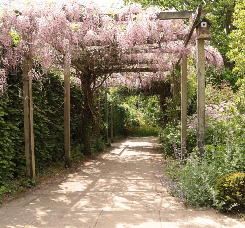 brian-2-wisteria-arch