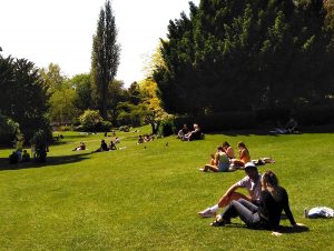 steveb-lunch-in-the-park