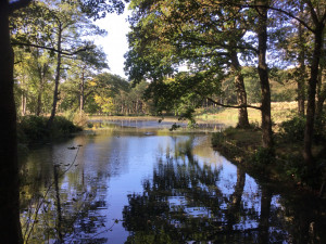 Southport u3a at RHS Bridgewater