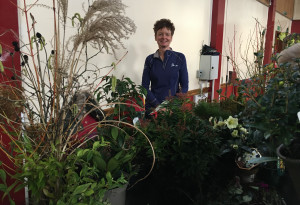 Southport u3a Gardening Group, Diane Harrison