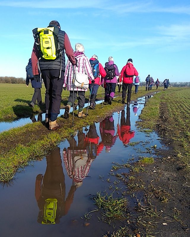 Walking Group 4 at Martin Mere