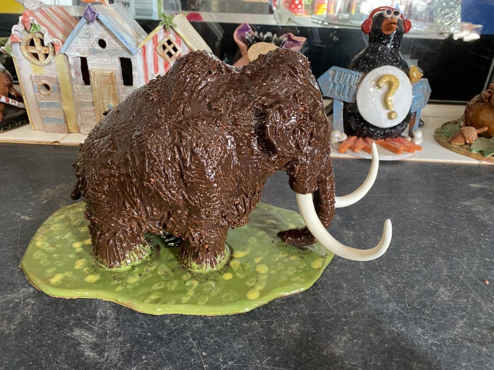 )YCZ Mammoth_IMG_0828