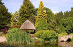 Ness Gardens