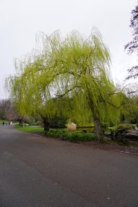 DSC01192