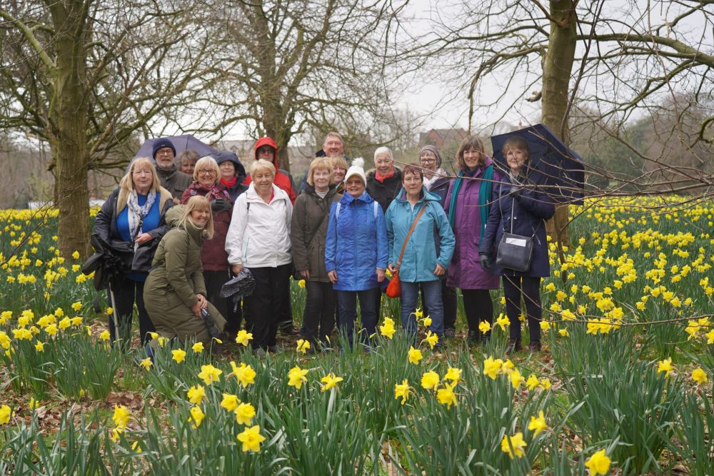 Lets Go Sefton Park Daffodils