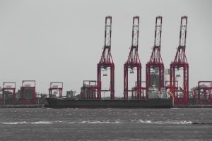 IMG_3411BW with red cranes
