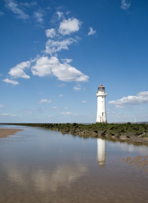 Light and Reflection_IAN3544