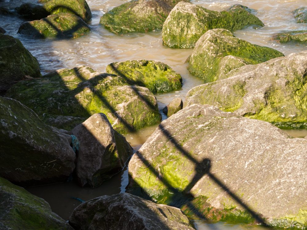 Railing on The Rocks_IAN3301