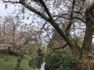 IMG_2003