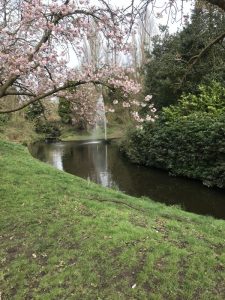 IMG_2005