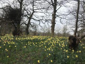 southport u3a spring