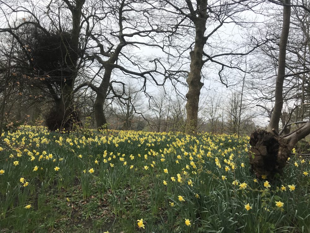 southport u3a spring