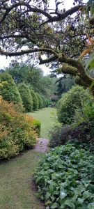 Dalemain - Garden view