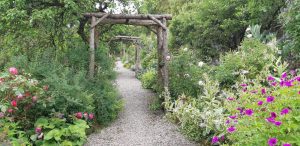 Dalemain Garden view 2