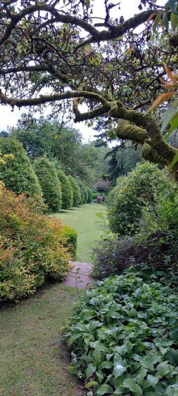 Dalemain - Garden view