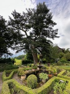 Dalemain Gardens - view 4