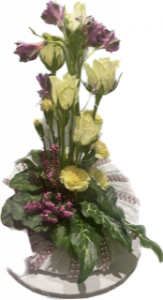 94E54D5A-7407-4EC5-B82C-2D4FCAEF7A31