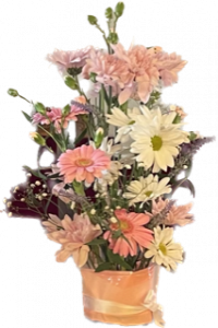 F456302D-61BA-42BA-A4C4-BCACED93EB0E (1)