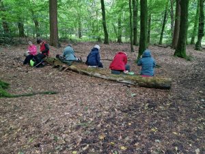 Walk to Lyme Park Estate