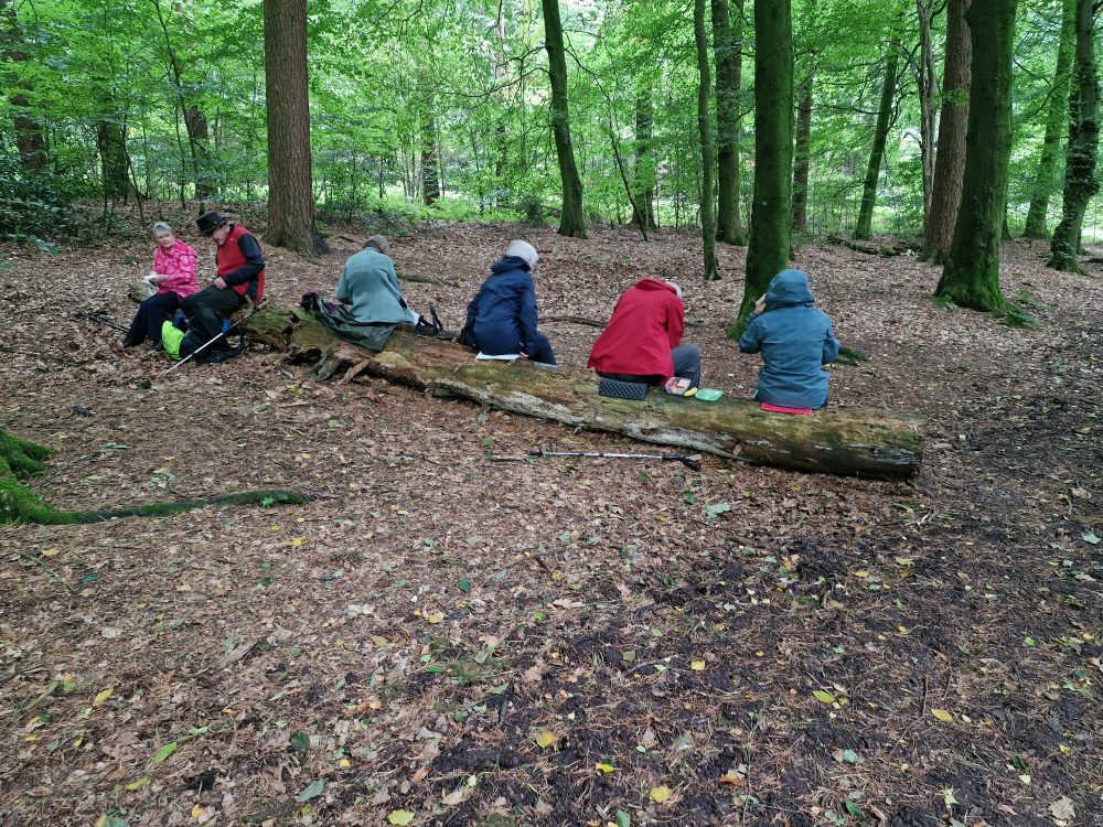 Walk to Lyme Park Estate