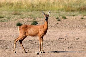 FB_IMG_1726867224149