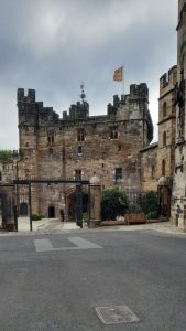 21396267-8192-4ef3-af92-d7ca7a1a2865