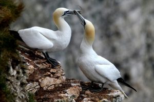 FB_IMG_1752439864228