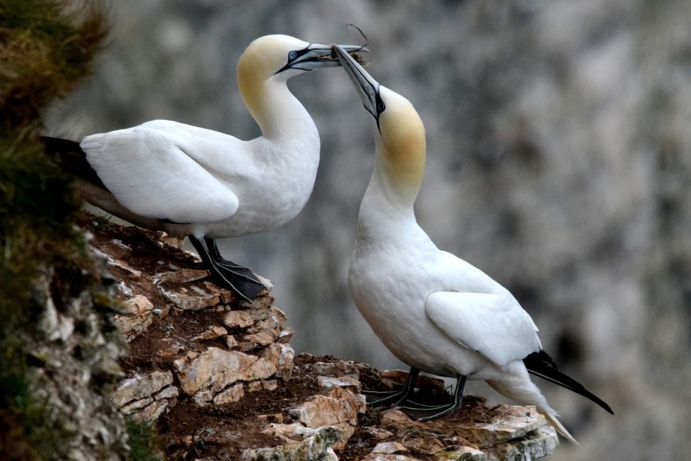 FB_IMG_1752439864228