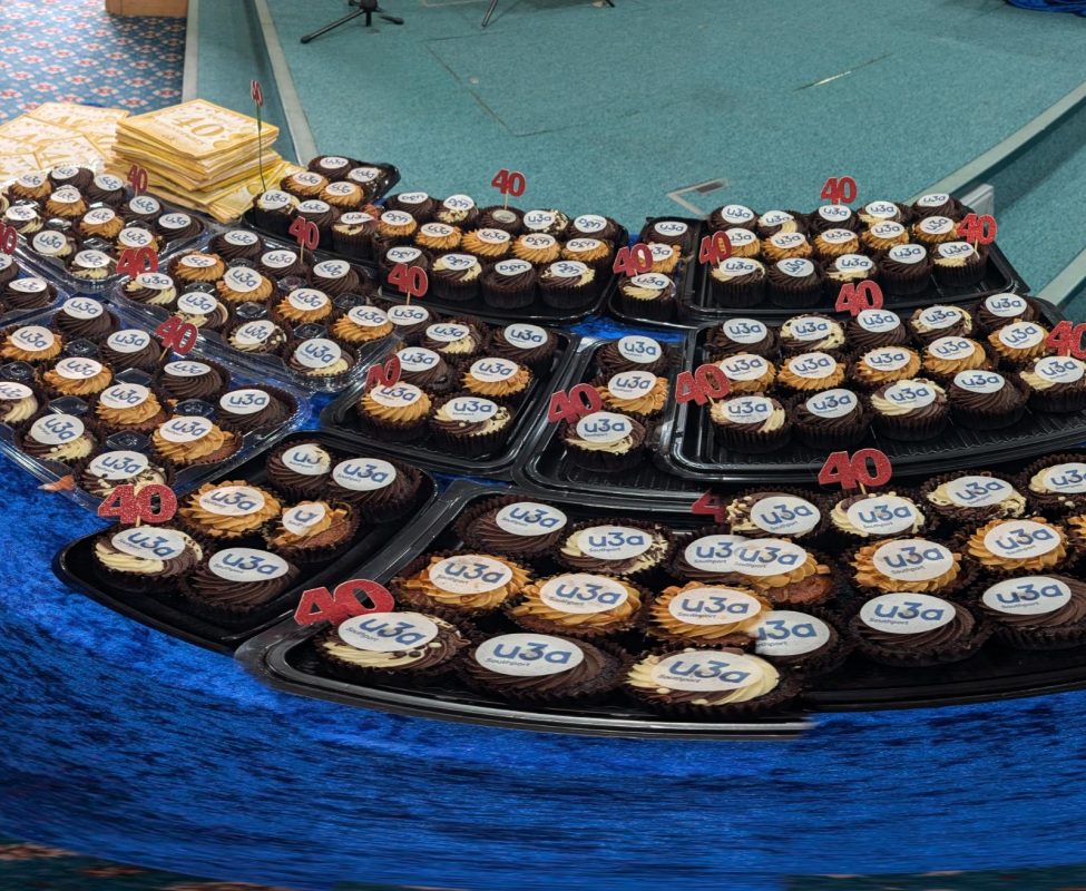 C611BE51-A8AD-41AE-97FD-121A8E56222B