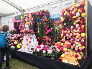 Newby - Around the Show 1