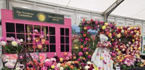 Newby - Around the Show 6