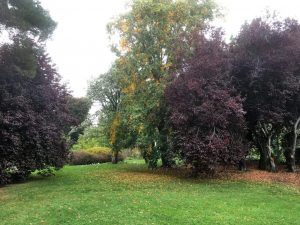 Newby Gardens 10