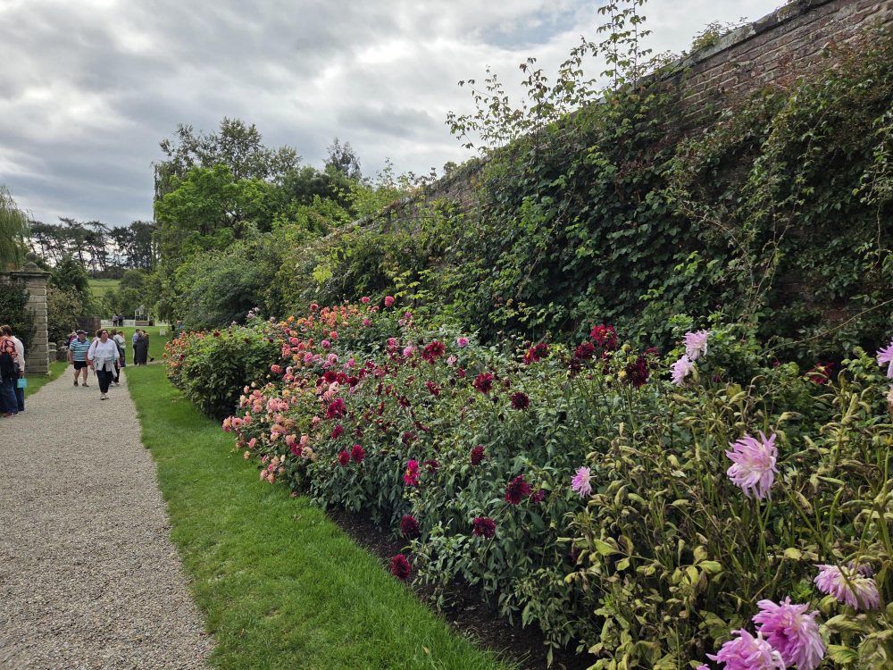 Newby Gardens 2
