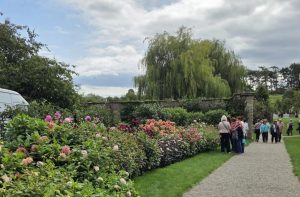 Newby Gardens 3