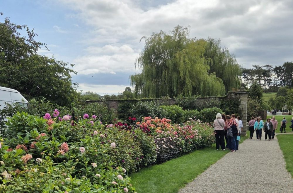 Newby Gardens 3