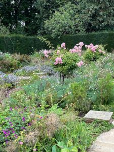 Newby Gardens 6