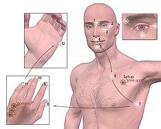 emotional freedom technique 2026