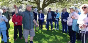 Japanese Garden tour 1