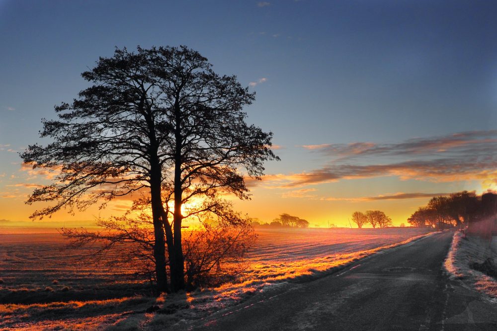 Sunrise05lighter copy