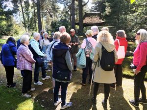 Tatton 6